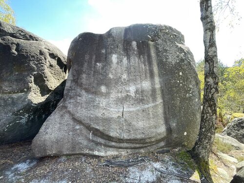 Image of Science Friction